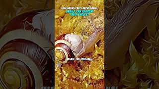 Snails Can Regrow Their Shells | Snails Facts #Shorts
