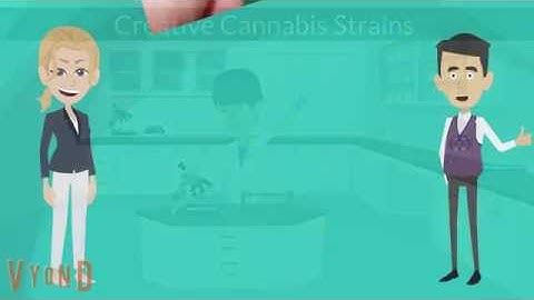 Ten Best Creative Cannabis Strains