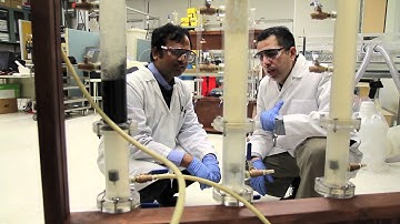 Dr. Mohamed Gamal El-Din