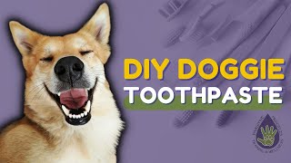 How To Make Dog Toothpaste | DIY Doggie Toothpaste - Quick Recipe | Safe and Natural