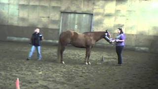 Showmanship Patterns - part 3 Serpentine.mp4