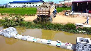 Amazing New PROJECT!! LANDFILL Delete Drain Sewer In Flooded Area Use Bulldozer D20A & 5Ton Truck.