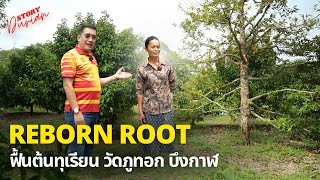 Reborn Root Ecosystem (RRE) ฟื้นต้นทุเรียน วัดภูทอก บึงกาฬ | Durian Strory