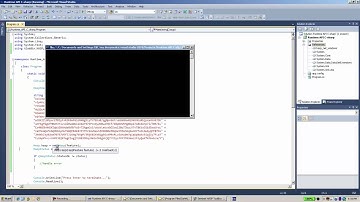Sentinel Support - How to use Sentinel HASP Runtime API C#