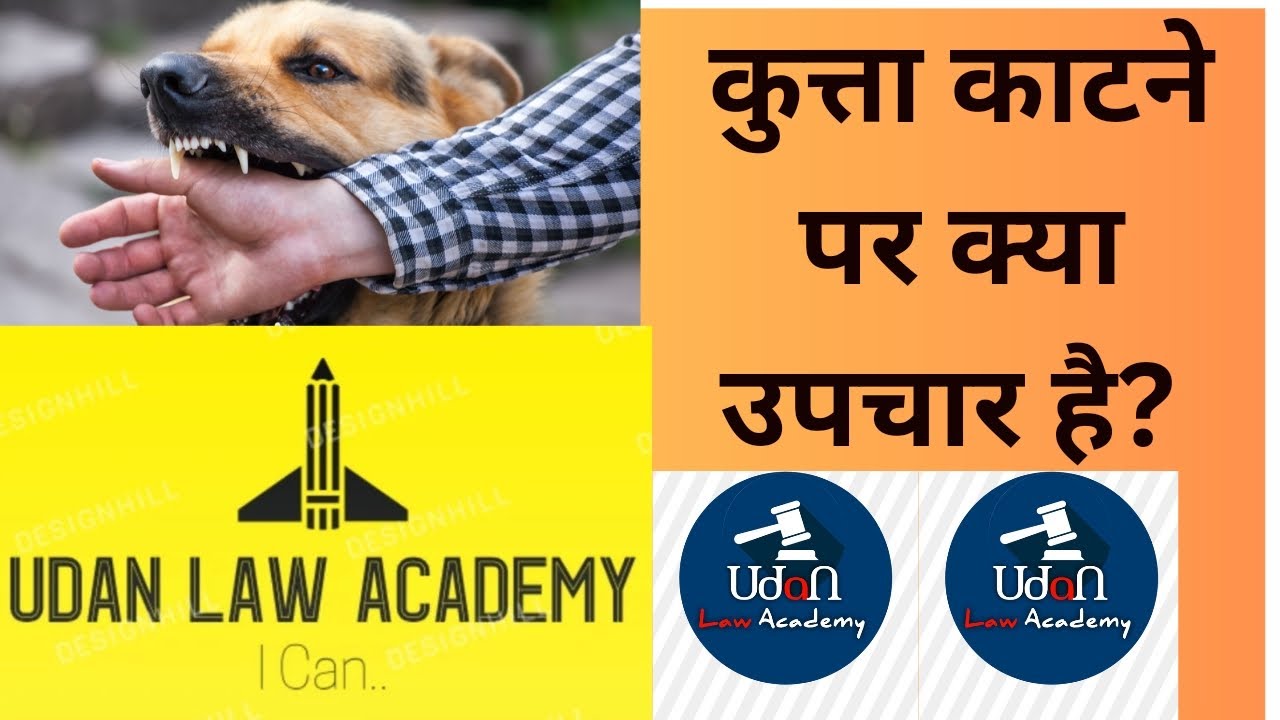 dog bite law in india!! dog bite law !!कुत्ता काटने पर क्या करें? YouTube
