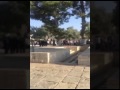 Palestinians clash with Israeli forces at Jerusalem's Temple Mount; Reuters