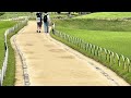 Korakuen Garden 26/05/23 -4