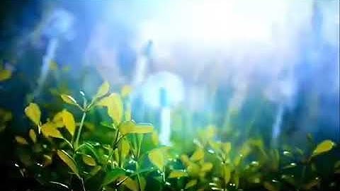 تلاوة من سورة البقرة للقارئ أحمد سمير