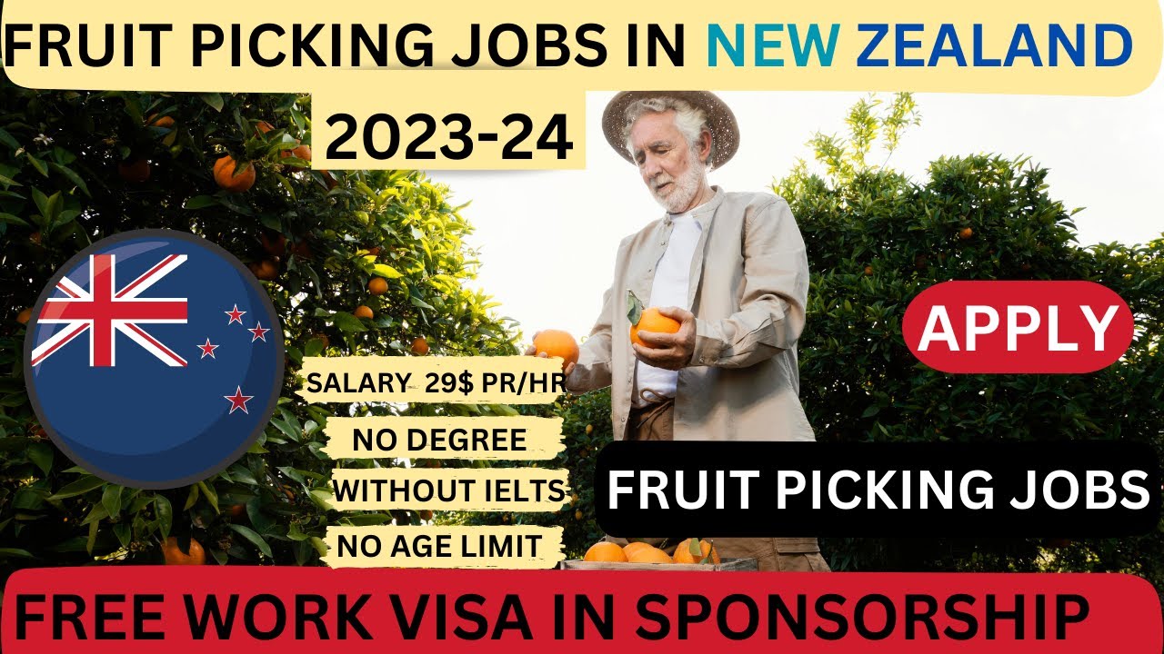 VisaSponsored Fruit Picker Jobs in New Zealand Seasonal Work Visa