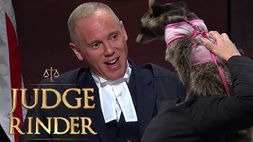 Judge Rinder Laughs as Raccoon Climbs All Over Michelle! | Judge Rinder