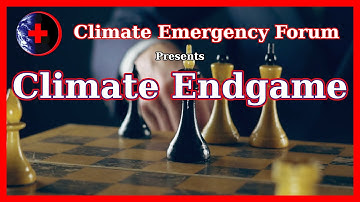 Climate Endgame