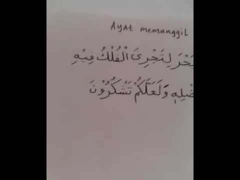 Ayat Untuk Memanggil Ikan - YouTube