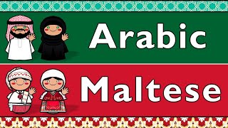 ARABIC & MALTESE