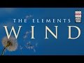 The elements wind  audio  instrumental  world music  hariprasad chaurasia  music today