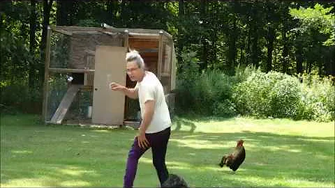 Retard Narrates: Chickens strike back