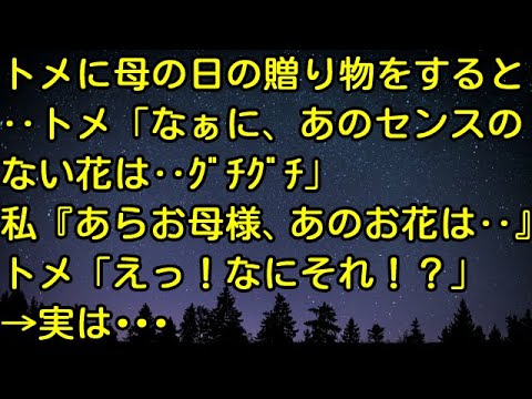 【スカッとする話】トメに母の日の贈り物をすると‥トメ「なぁに、あのセンスのない花は‥ｸﾞﾁｸﾞﾁ」私『あらお母様、あのお花は‥』トメ「えっ！なにそれ！？」→実は・・・　スカッとしようぜチャンネル