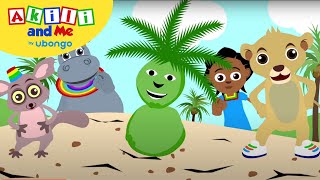 EPISODE 6: Akili and the Dancing Doll  | Full Episode of Akili and Me | African Educational Cartoons