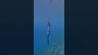 15 #bikini #coral #freediving #island #ocean #sea #travelvlog #shorts #underwater #travel #beach