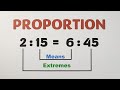 Understanding Proportions