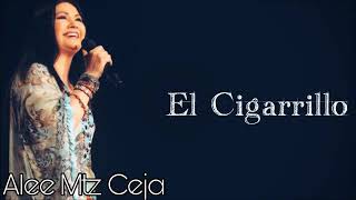 Ana Gabriel ❣️ El cigarrillo