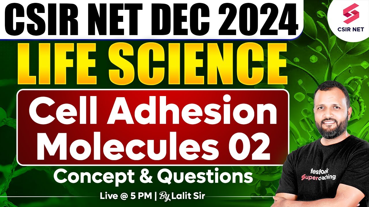 CSIR NET DEC 2024 | Life Science | Concept And Questions | Cell ...