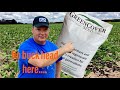 Green Cover Seed Summer Release Mix for Deer Food plots