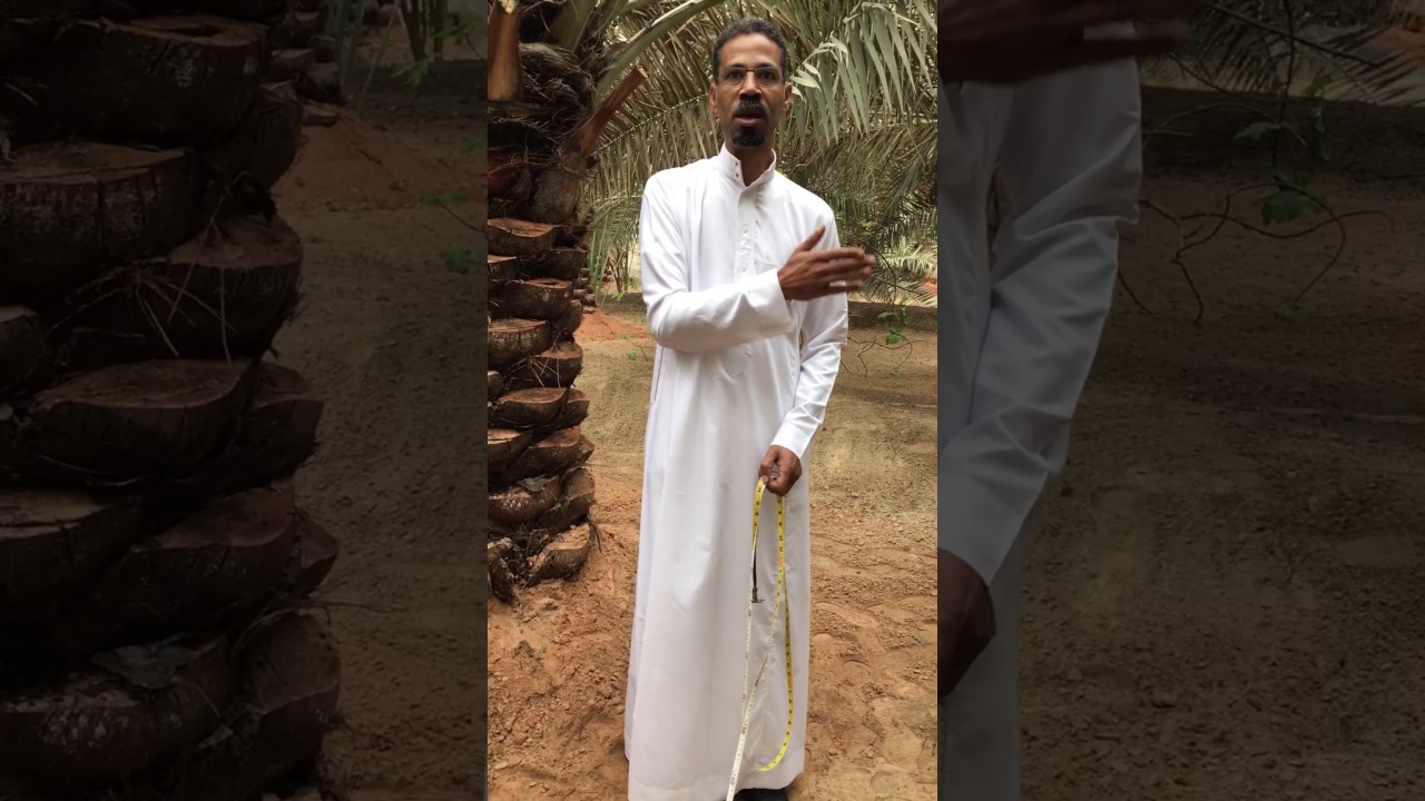 طريقة عمل الحوض المناسب  وعمل الوساده