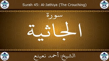 القرآن الكريم بصوت احمد نعينع - سورة الجاثية