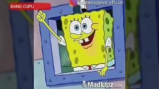 DownloadVIDIO LUCU SPONGEBOB BASA JAWA!!! MP3 MP4 VIDIO LUCU SPONGEBOB BASA JAWA!!!