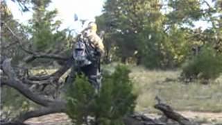 dead on elk and coues promo wmv