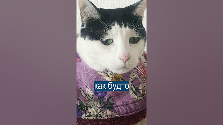Грустный кот, который понял жизнь