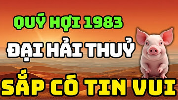 Tuổi Quý Hợi 1983 Là Người Có Phúc Có Phần, Về Già Hưởng Lộc Tổ Tiên Nếu Biết Sớm 8 Điều Này