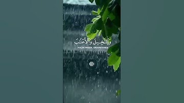آية ﴿هُوَ الَّذي أَنزَلَ مِنَ السَّماءِ ماءً لَكُم مِنهُ شَرابٌ وَمِنهُ شَجَرٌ فيهِ ﴾ سورة:النحل