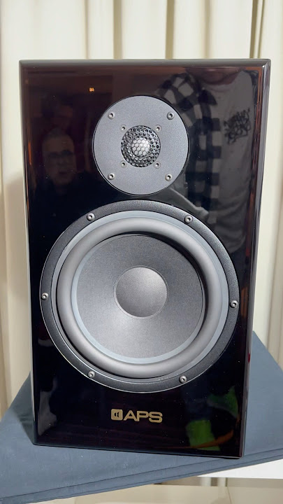 Gotham Audio βοΈ APS π Audiophile HiEnd HiFi Stereo System #hifi #hiend #audiophile #stereo #system