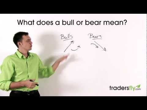 Video: What Do Bulls And Bears Mean On Stock Exchanges?