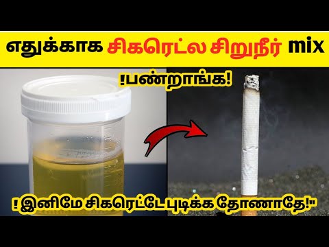 why do they add urine to cigarattes🤢|வியக்கவைக்கும் வினோத உண்மைகள்😱_facts tamil_minutes mystery_info