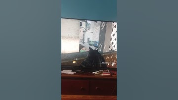 MW3 survival juggernaut clay freeze on resistance