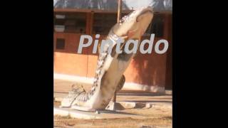 Conheça Ladário-MS.wmv