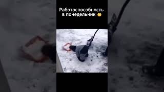 Понедельник – день тяжелый!  #советникпроф