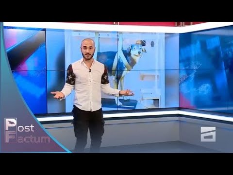 გაბულოგი #10: \"პავლოვის ძაღლივით ექცევა ბიძინა ივანიშვილი ხალხს\"