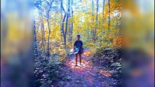 Charles Infamous: Got It Right Now - Natural Habitat Instrumental Album