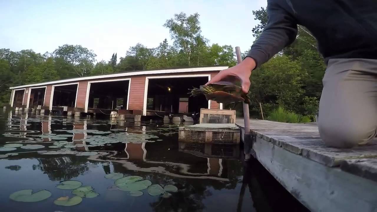 Go Fishing On Lake Wabana YouTube
