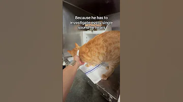 Simba 229676 