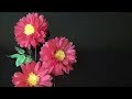 （ペーパーフラワー）ダリアの作り方【DIY】(Paper Flower) How to make Dahlia