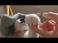 やめておけ...