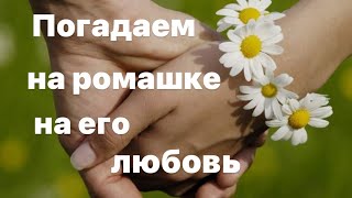 Погадаем на ромашке на его любовь 🥰 🌼☀️