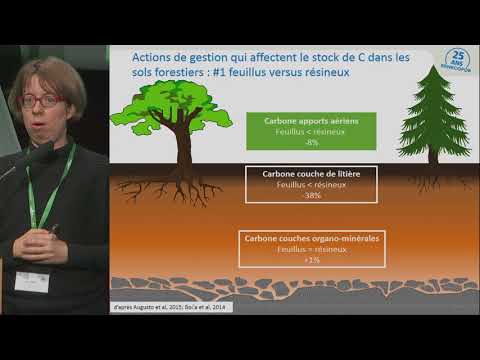 Vidéo: L'équilibre hydrique est l'indicateur le plus important d'un écosystème