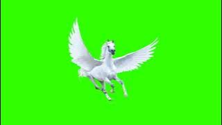 wings horse (pegasus)  😍 Green screen video free download - Free copyright