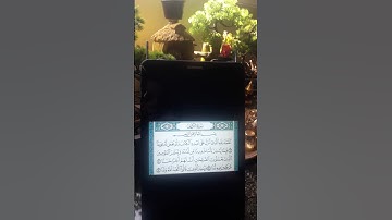 سوره الكهف نور بين الجمعتين اللهم صلي وسلم وبارك على سيدنا محمد وعلى آله وصحبه أجمعين