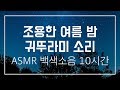 [10시간] ASMR ● 잠 잘때 듣는 ● 조용한 여름 밤 귀뚜라미 소리 ● 수면유도 백색소음 ● 시골 풀벌레 소리